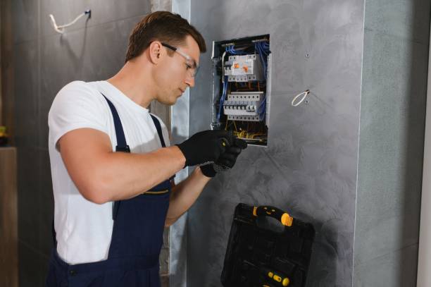 Best Affordable Electrician  in Deer Park, IL