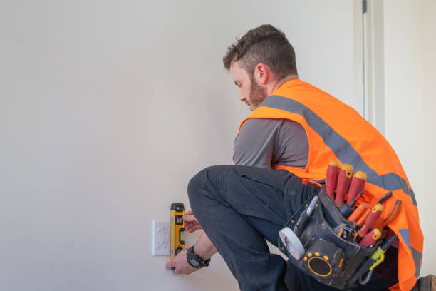 Best Electrician for Home Renovation  in Deer Park, IL